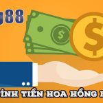 Cách Tính Hoa Hồng Bong88 Cho Đại Lý Mới (2022)